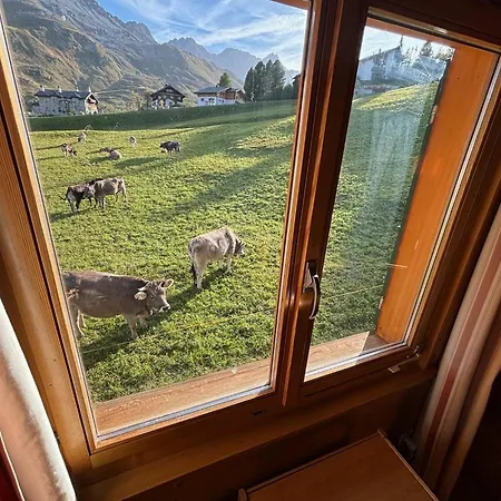 Appartement Soeni *